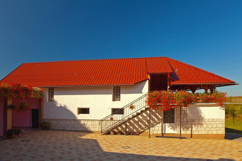 Apartment Jakovljevic Gornji Vaganac Pokój zdjęcie